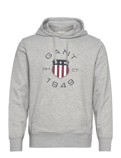 Print Sweat Hoodie GANT Grey