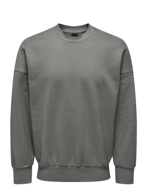 ONLY & SONS Onsdan Life Rlx Heavy Sweat Crew ONLY & SONS Grey