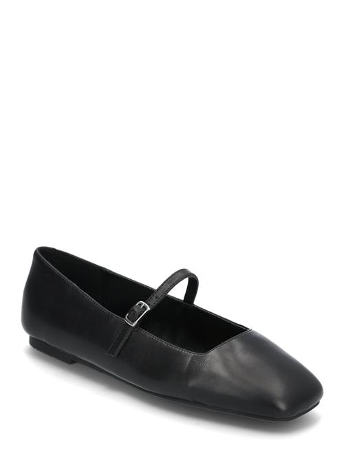 Steve Madden Ezri Ballerinas Steve Madden Black