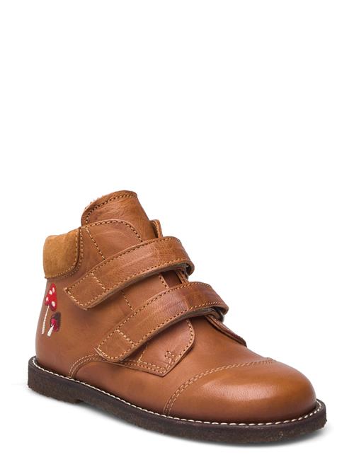 ANGULUS Boots - Flat - With Velcro ANGULUS Brown