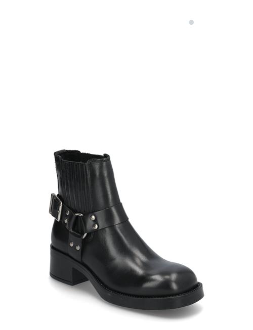 Breaker Chelsea Boots Steve Madden Black