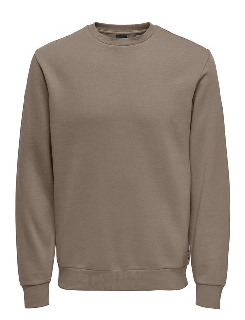 ONLY & SONS Onsceres Crew Neck Noos ONLY & SONS Brown