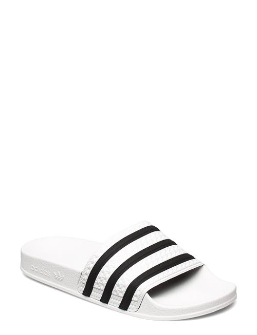 adidas Originals Adilette Adidas Originals White