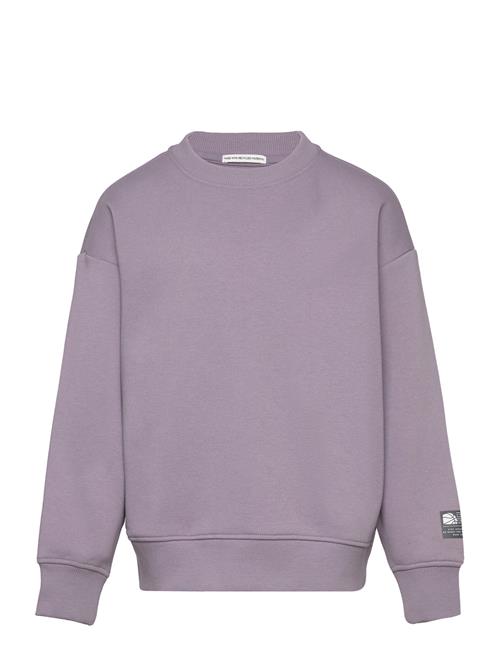 Se Tom Tailor Over Basic Sweatshirt Tom Tailor Purple ved Booztlet