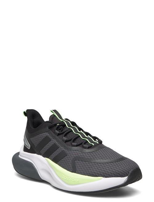 Se adidas Sportswear Alphabounce + Adidas Sportswear Grey ved Booztlet