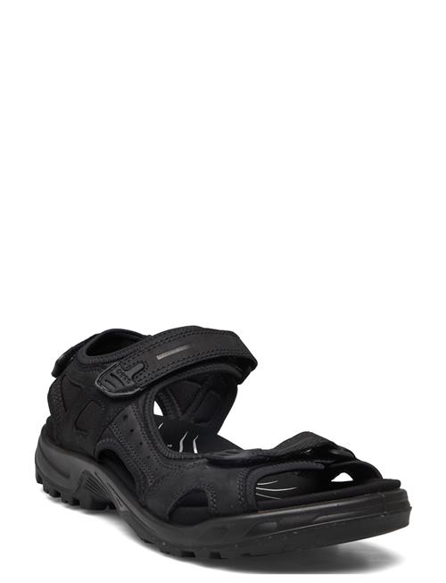 ECCO Offroad ECCO Black