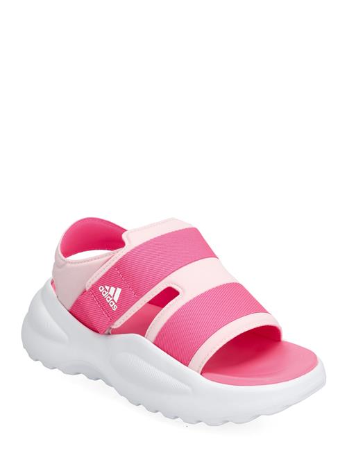 Se adidas Performance Mehana Sandal Kids Adidas Performance Pink ved Booztlet