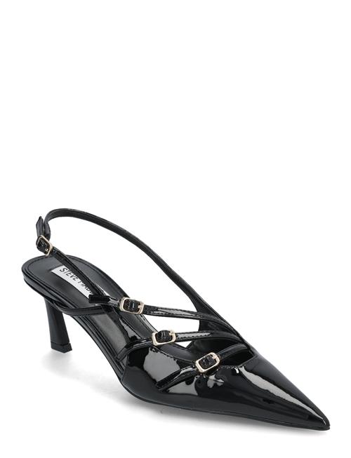 Liana Slingbacks Steve Madden Black