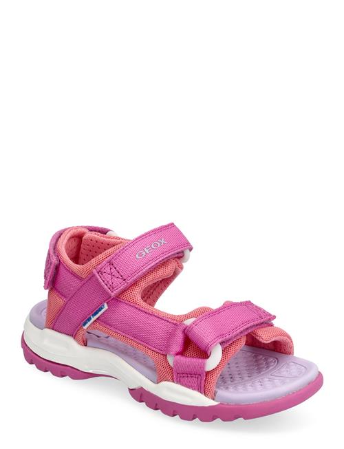 Se GEOX J Borealis Girl A GEOX Pink ved Booztlet