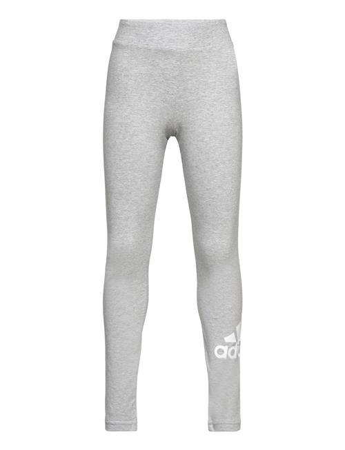 adidas Performance G Bl Tig Adidas Performance Grey