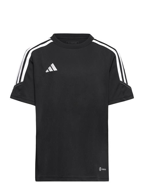 adidas Performance Tiro23 Cbtrjsyy Adidas Performance Black