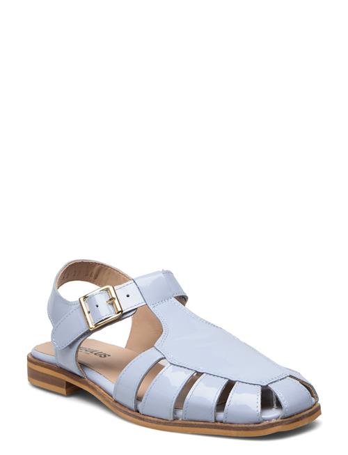 ANGULUS Sandals - Flat ANGULUS Blue