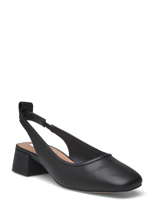 Smitten Sandals Steve Madden Black