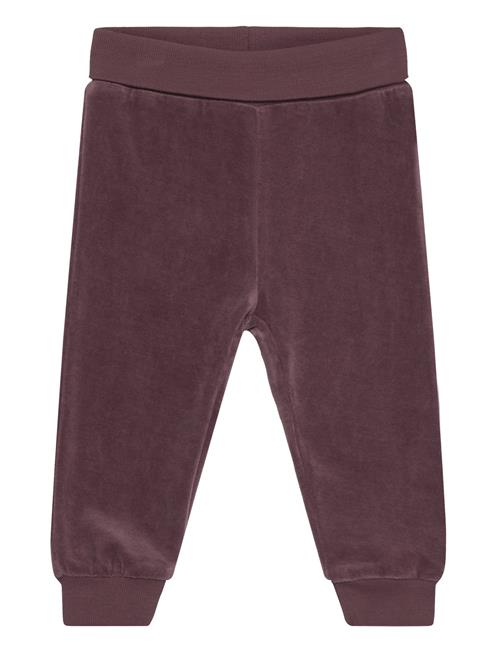 Fixoni Pants Velour Fixoni Burgundy