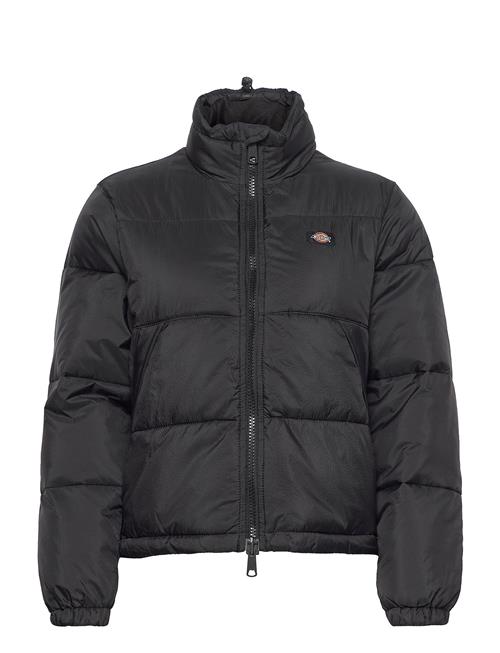 Alatna Jacket Dickies Black