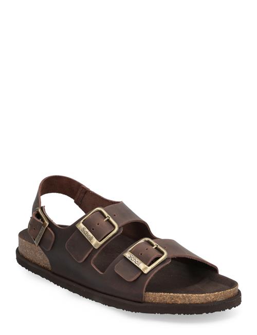 Scholl Sl Gaston Leather Dk Scholl Brown