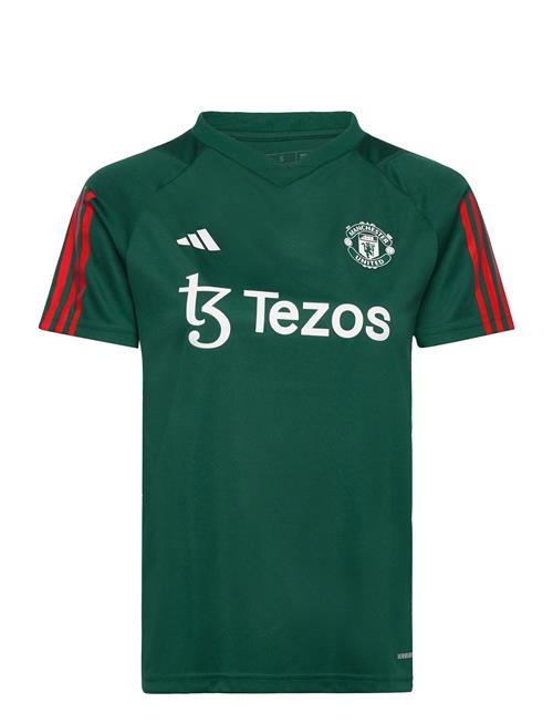 Se adidas Performance Manchester United Tiro 23 Training Jersey Adidas Performance Green ved Booztlet