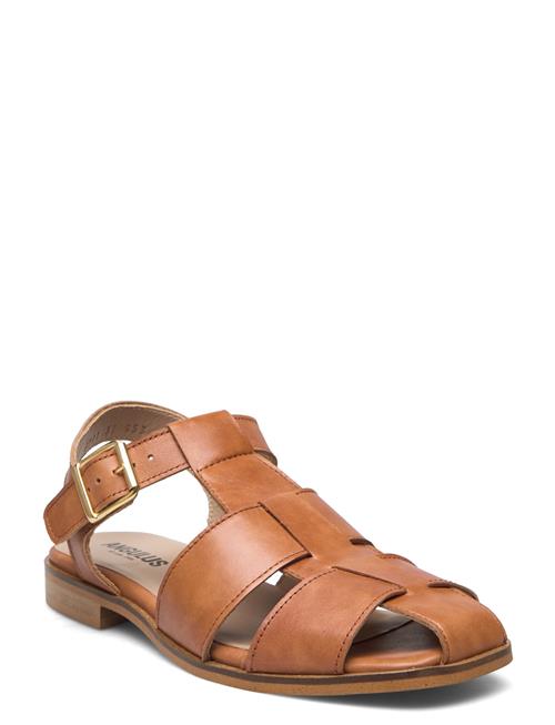 Se ANGULUS Sandals - Flat ANGULUS Brown ved Booztlet