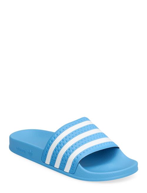 Adilette W Adidas Originals Blue