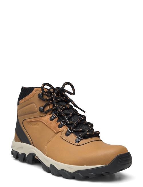 Se Columbia Sportswear Newton Ridge Plus Ii Waterproof Columbia Sportswear Brown ved Booztlet