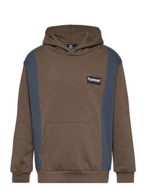 Hmlallton Hoodie Hummel Brown