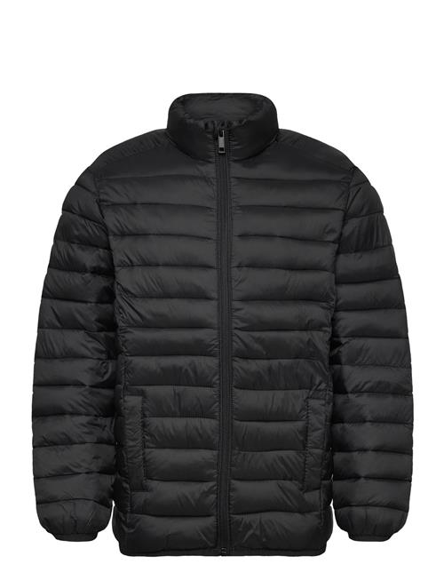 Mango Quilted Jacket Mango Black