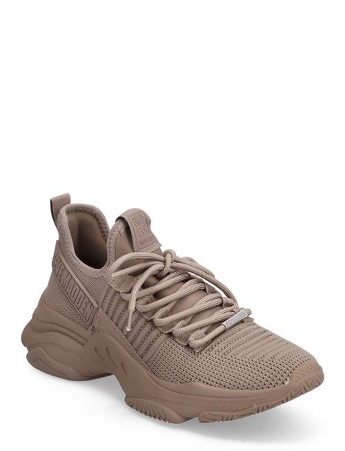 Se Steve Madden Mac-E Sneaker Steve Madden Beige ved Booztlet