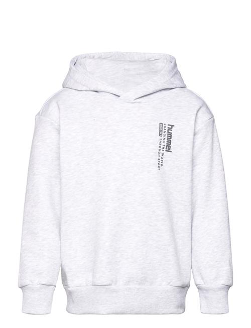 Se Hummel Hmldante Hoodie Hummel Grey ved Booztlet