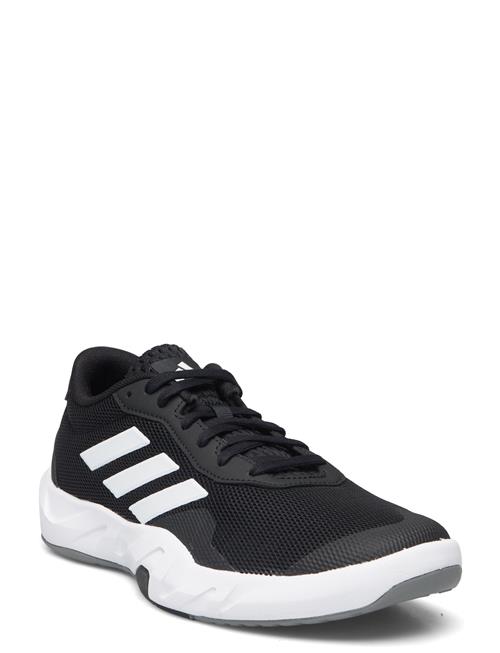 Se adidas Performance Amplimove Trainer W Adidas Performance Black ved Booztlet