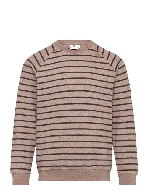 En Fant Sweatshirt Stripe En Fant Brown