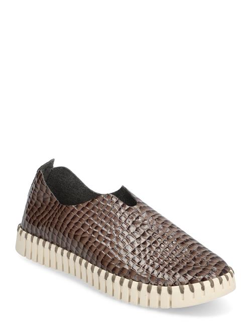 Se Ilse Jacobsen Flats Ilse Jacobsen Brown ved Booztlet