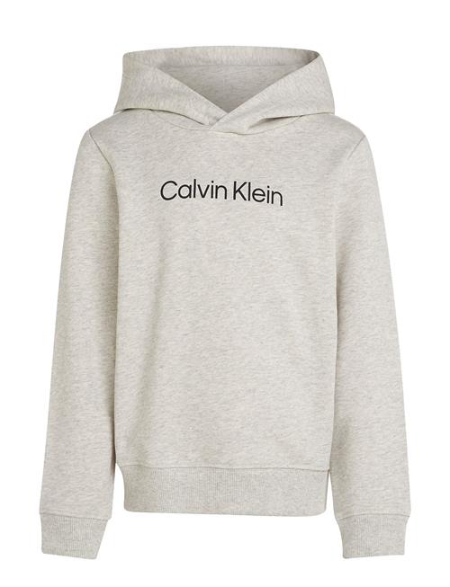 Calvin Klein Inst. Logo Reg. Terry Hoodie Calvin Klein Grey