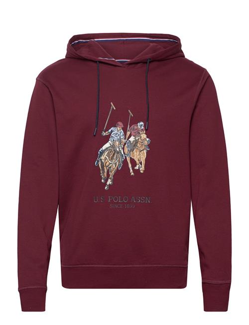 Se U.S. Polo Assn. Uspa Hood Sweater Elaf Men U.S. Polo Assn. Burgundy ved Booztlet