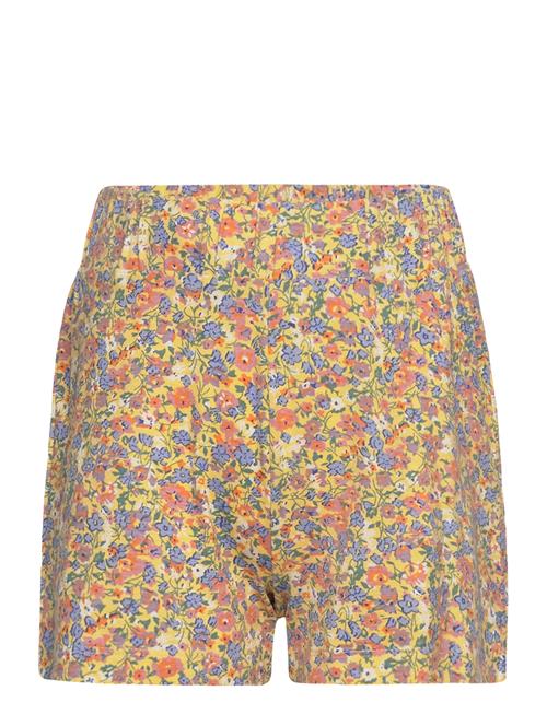 The New Tnfry Shorts The New Patterned