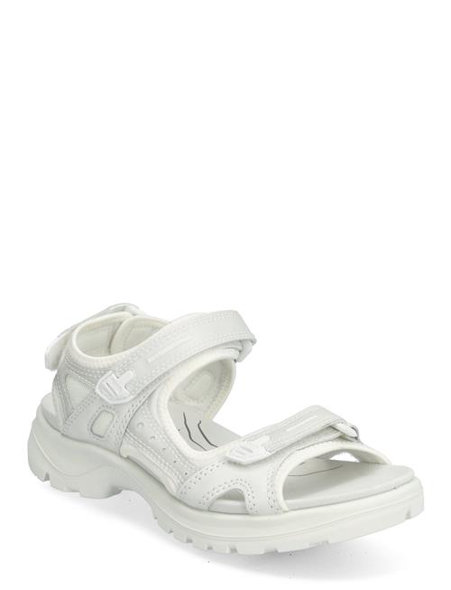 Se ECCO Offroad ECCO White ved Booztlet