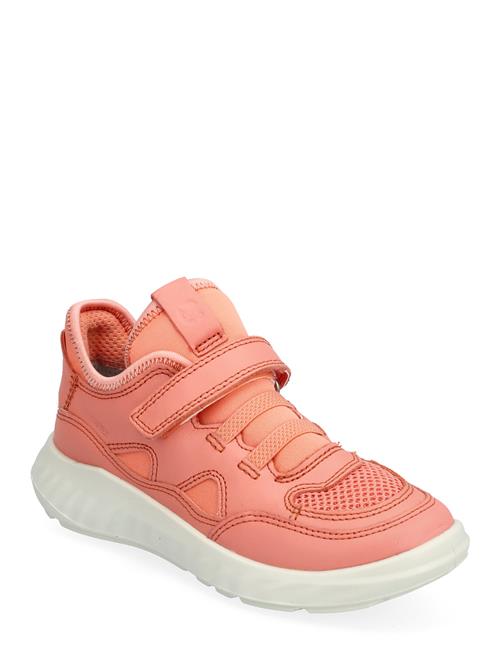 Se ECCO Sp.1 Lite K ECCO Coral ved Booztlet