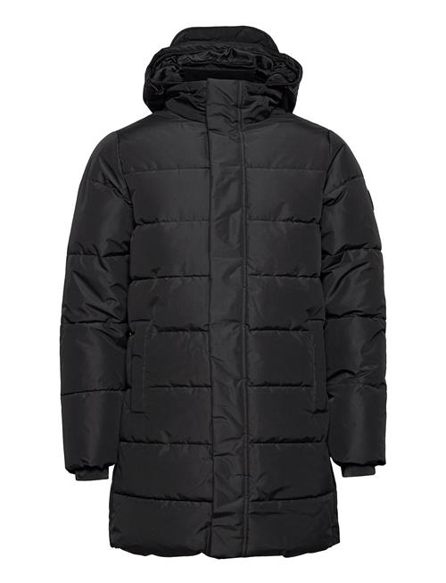 Se ONLY & SONS Onscarl Life Long Quilted Coat Otw Noos ONLY & SONS Black ved Booztlet