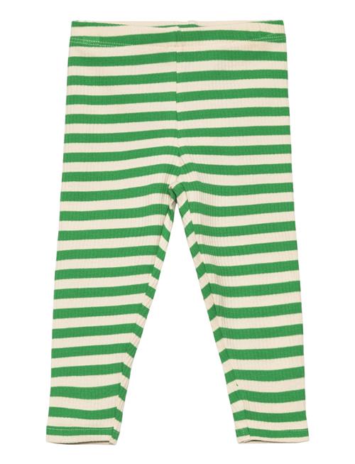 Se The New Tnsfinn Rib Leggings The New Green ved Booztlet