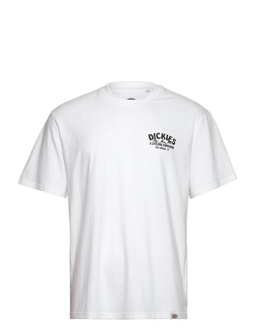 Dickies Dickies Companion Tee Ss Dickies White