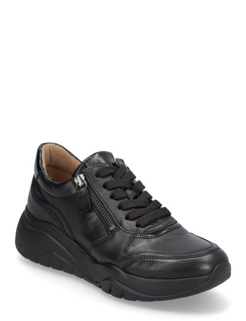 Se Gabor Sneaker Gabor Black ved Booztlet