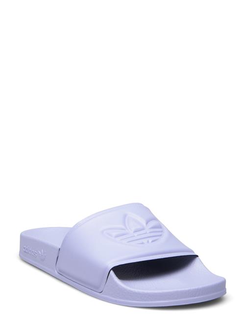 Adilette Trefoil Adidas Originals Purple