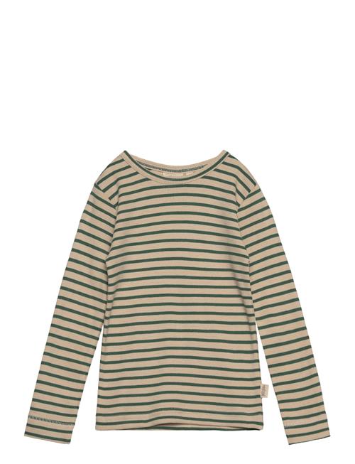 Petit Piao T-Shirt L/S Modal Striped Petit Piao Green