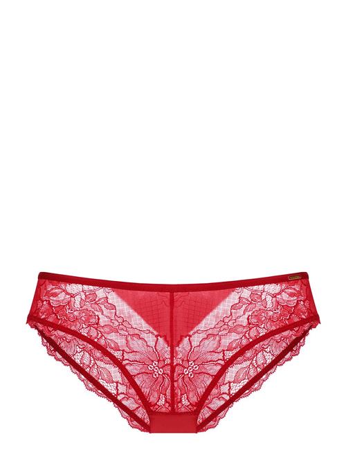 Se Dorina Alexa Brief Dorina Red ved Booztlet