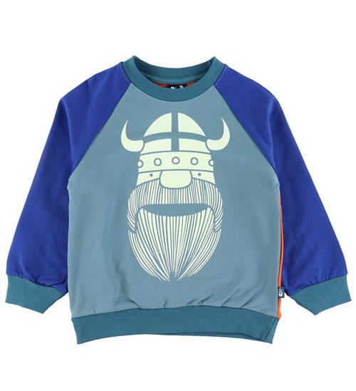 Se DanefÃ¦ Sweatshirt - Danamerika - Multi Erik ved KidsWorld