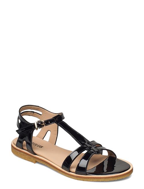 ANGULUS Sandals - Flat ANGULUS Black