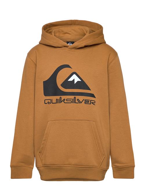 Se Quiksilver Big Logo Hoodie Youth Quiksilver Brown ved Booztlet