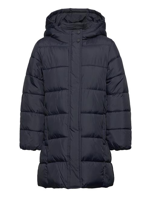 Hood Quilted Coat Mango Navy