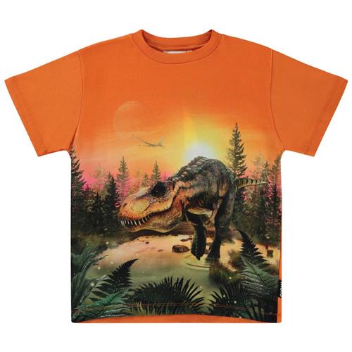 Se Molo GOTS Riley T-shirt Dino Lake | Orange | 164 cm ved Babyshop