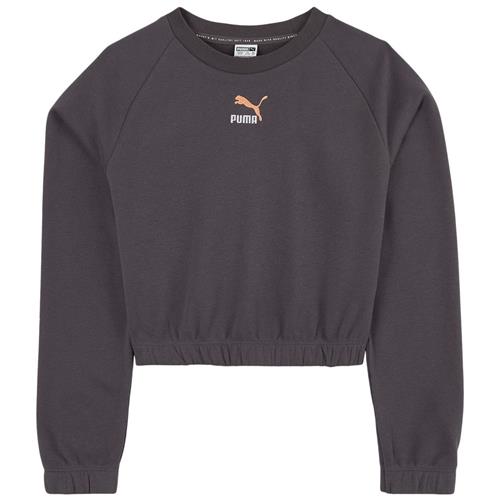 Puma Logo Crop Sweatshirt Grå | Grå | 5-6 years