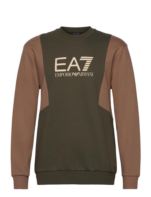 Se EA7 Sweatshirt EA7 Khaki ved Booztlet